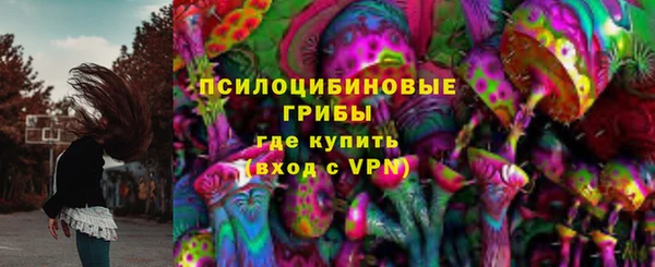 стафф Балахна