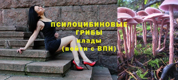 дживик Белоозёрский